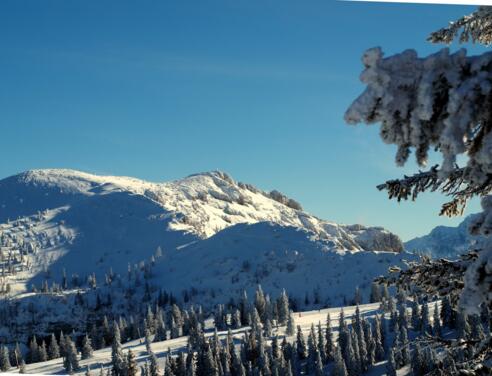 Spitzplaneck Nord 1595m mit Kasbergblick