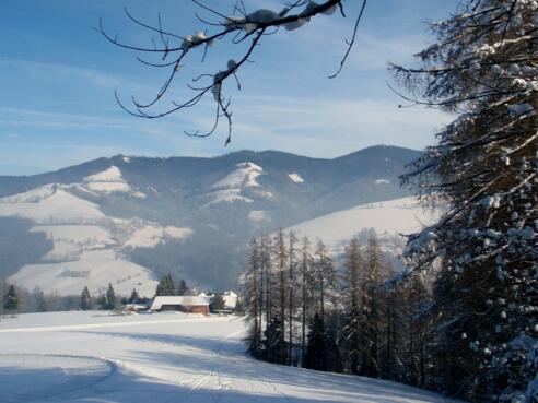 Rückblick zum Sommerparkplatz 675 m