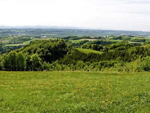 Panoramablick Gobelwarte