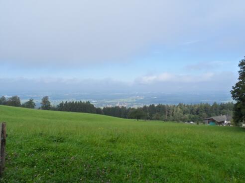 Ausblick von Wiesholz