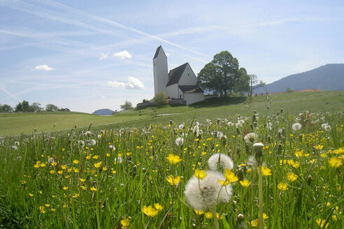 St. Peter in Steinkirchen mit blühender Wiese