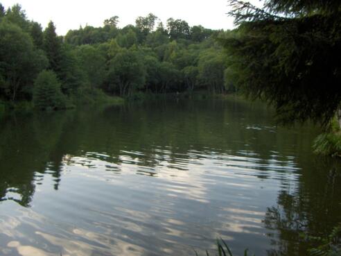 Durch den Abbau von Basalt ist dieser kleine See am Steinernen Haus entstanden.