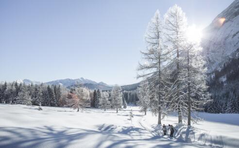Winter im Leutaschtal
