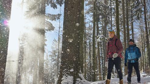 Winterwandern
