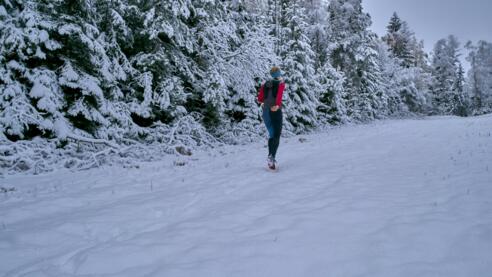 Wanderung auf der ArberhochstraÃÂe