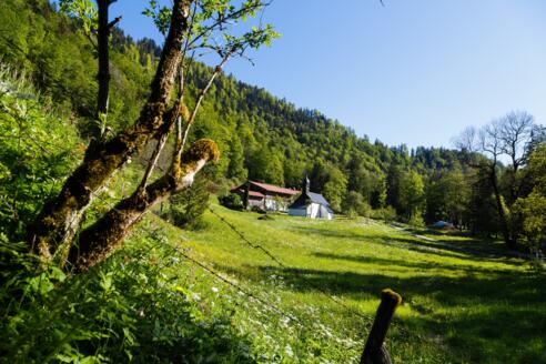 NQ8A0032_HochfellnRunde