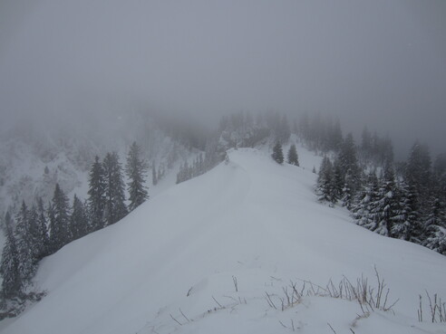 Gröhrkopf (1.562 m)