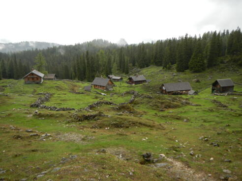 Hohe Schartenalm