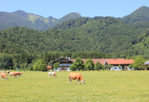 Großrachlhof Grassau/Chiemgau