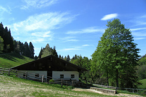 Herrenalm - © Chiemsee-Alpenland Tourismus