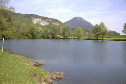 Der Kreuthsee: Ein kleiner Naturbadesee in Kiefersfelden.