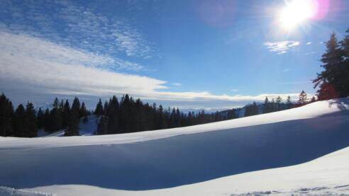 Schneeschuhwandern im Kampenwandgebiet