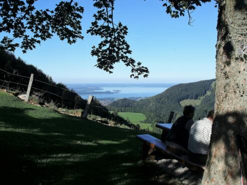 Chiemseeblick von der Sameralm