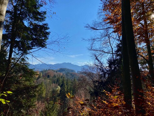 Aussicht auf die Kampenwand