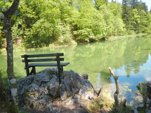 Taubensee