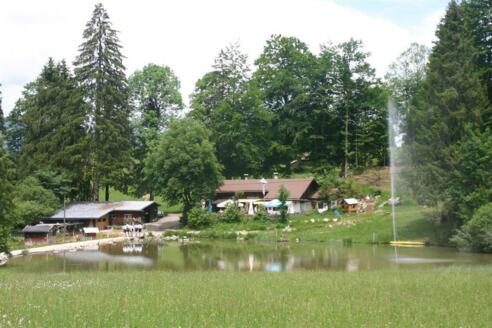 Kochelberg-Alm
