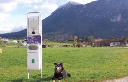 Inzell Dogstation