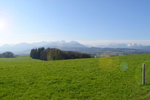 ib_aussichtspunkt_panorama_fruehling_fl-1