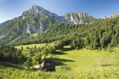 Roha-Fotothek Fürmann - Steiner Alm mit Blick auf Staufenmassiv