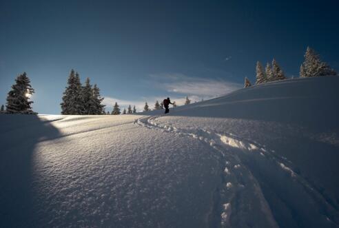 Aufstieg im lichten Hochwald bei Neuschnee.