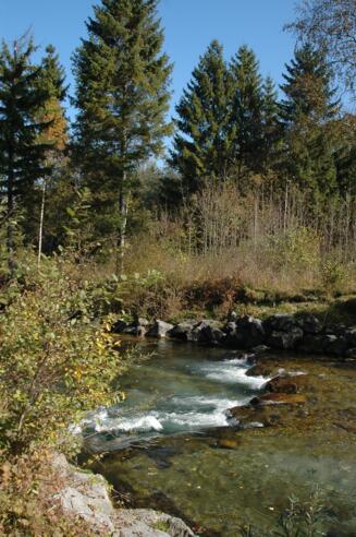 Die Leitzach bei Wörnsmühl