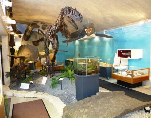Urzeitmuseum