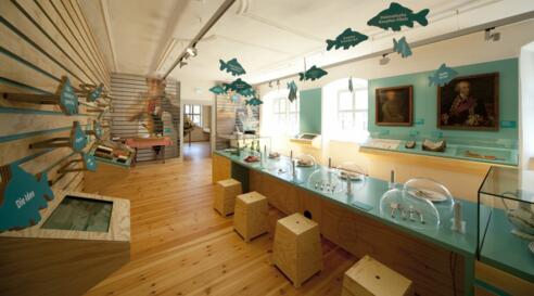 Museum im Alten Schloss mit Karpfenmuseum