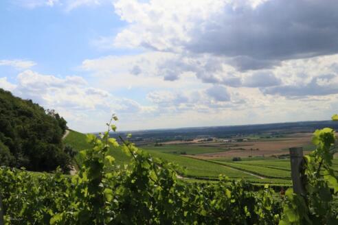 Blick auf den Schwanberg