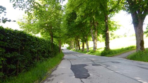 Rohbogenweg zum Golfplatz