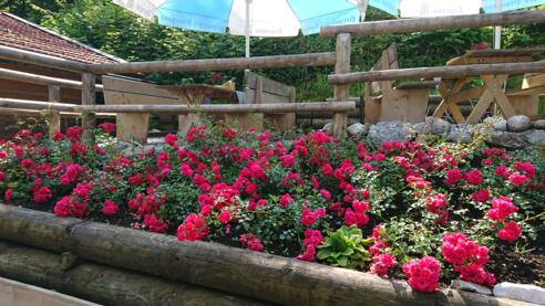 Herzogliche Fischzucht Kreuth