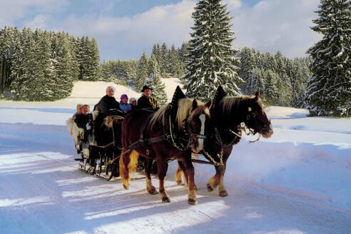pferdekutsche_maier_quer