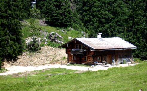 Kühe auf der Gotzentalalm