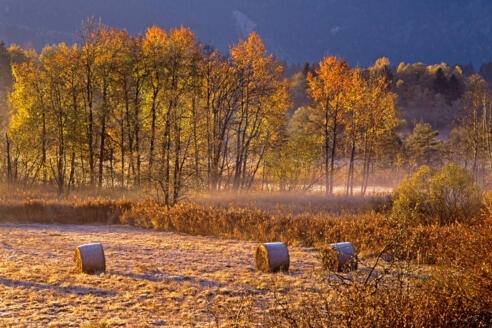 Radtour - Durchs Murnauer Moos - Herbststimmung im Moos