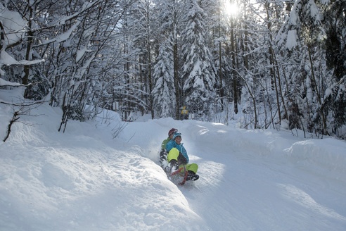 Rodelspaß an der Naturrodelbahn in Adlgaß/Inzell