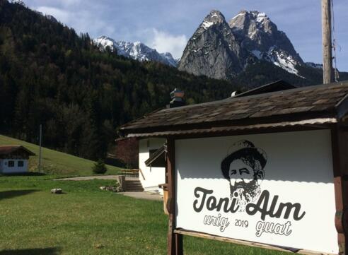 Toni Alm