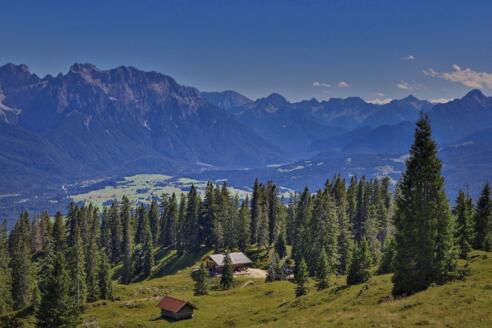 Wallgauer Alm 6142