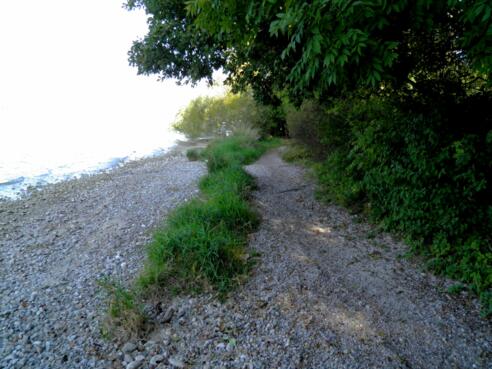 Ufer-Trail nördlich Breitbrunn