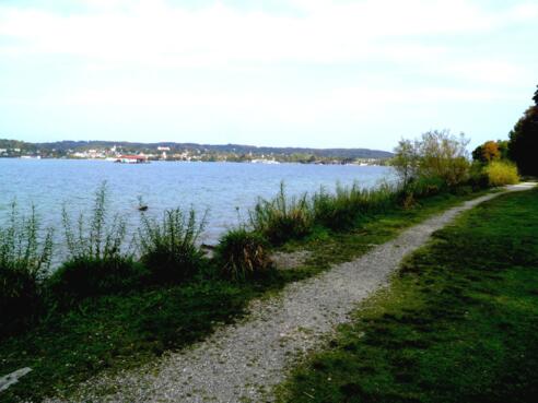 Blick auf Starnberg und See