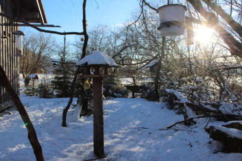 Vogelstation Moosmühle