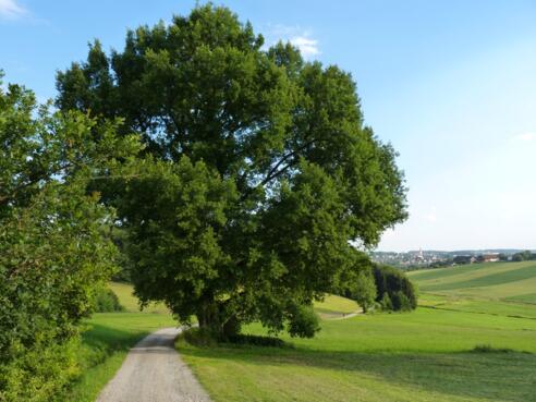 Ausblick bei Stockahausen