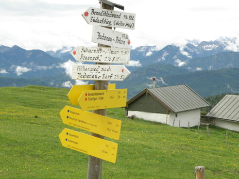 Bichler Alm 1438 m