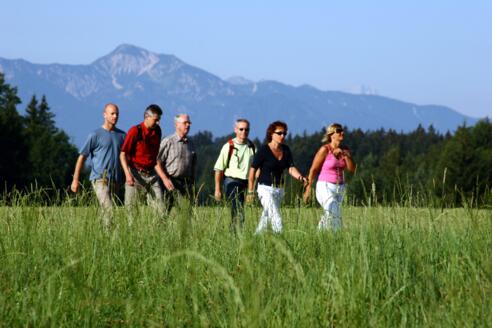 Aussucht zum Heimgarten