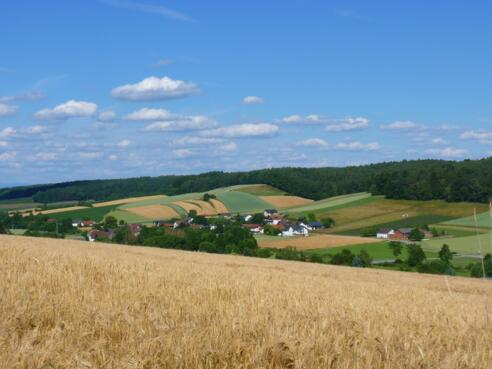 Von Guteneck Ausblick ins Sulzbachtal