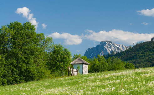 Salzburgblick Weg Teisendorf © RoHa Fotothek