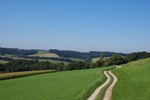 Ausblick bei Maisenberg