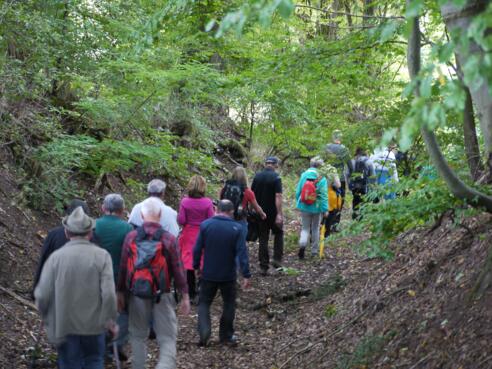 Trimm-Dich-Pfad Gräfenneuses
