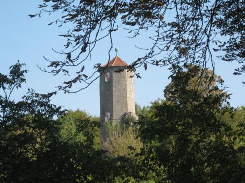Ruine der Burg Castell