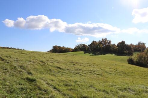 Schlossbergsattel in der Sonne