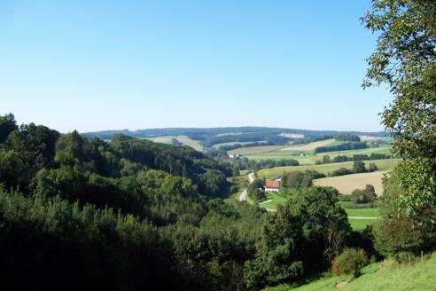 Ausblick bei Kohlleiten