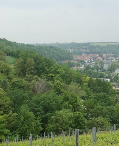 Blick nach Marktbreit